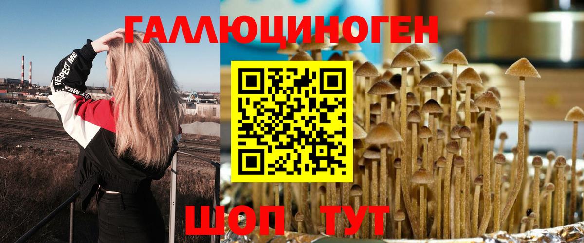 Псилоцибиновые грибы GOLDEN TEACHER Богородск